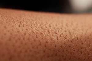 suplementy na cellulit