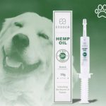 Preparaty na ból zęba bez recepty – jak należy je przyjmować?