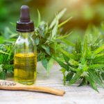 Czym jest medyczna marihuana?