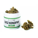 Gorilla Glue: efekty i pochodzenie odmiany