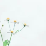 Inhalator – czy warto go mieć?