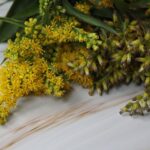 Orteza na śródstopie a sport: Jak zwiększyć wydajność i zapobiegać urazom?