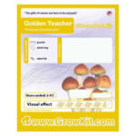 Wkładki na ostrogę piętową – Skuteczne Narzędzia Przeciwbólowe